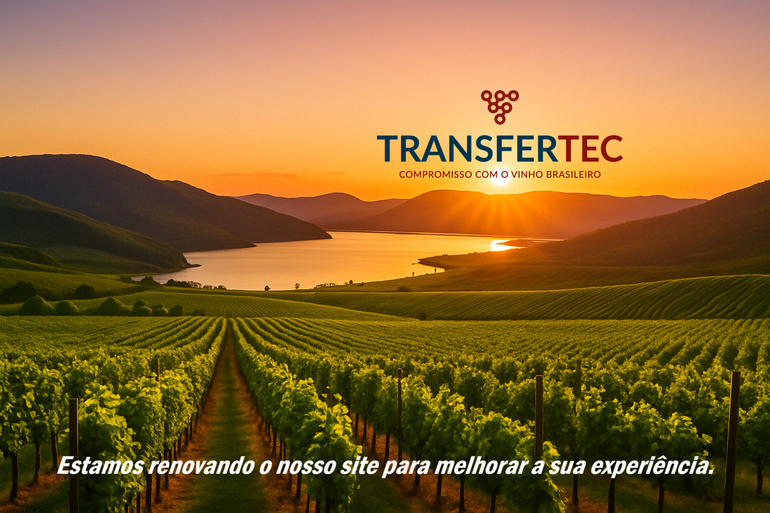 Transfertec - Site em manutenção